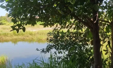 1 Bedroom House for sale in Ban Pet, Khon Kaen