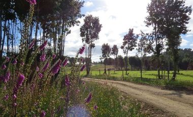 Parcela en Venta en Llanquihue
