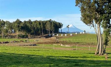 Parcela en Venta en Llanquihue