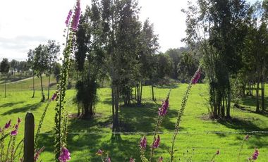 Parcela en Venta en Llanquihue