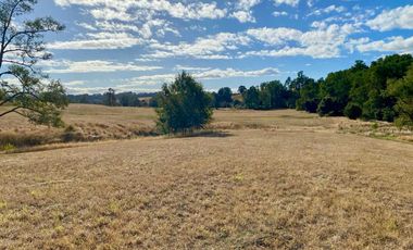 Parcela en venta en OSORNO