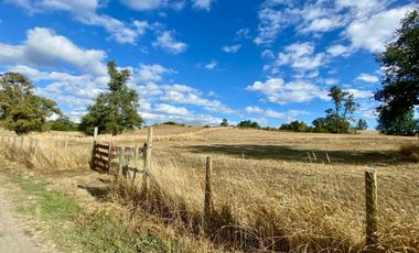 Parcela en venta en OSORNO