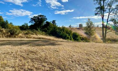 Parcela en venta en OSORNO