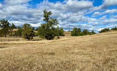 Parcela en venta en OSORNO