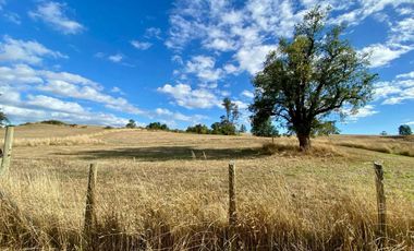 Parcela en venta en OSORNO