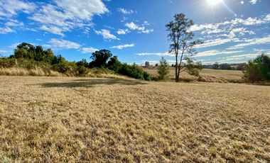 Parcela en venta en OSORNO