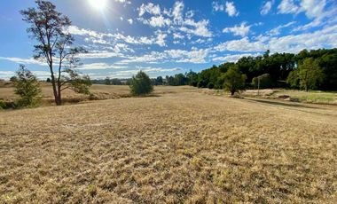 Parcela en venta en OSORNO