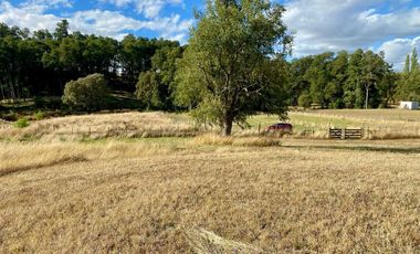 Parcela en venta en OSORNO