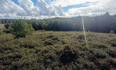 Parcela en venta en PUERTO MONTT
