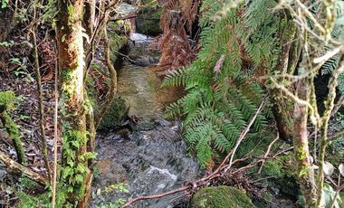 Parcela en venta en PUERTO MONTT