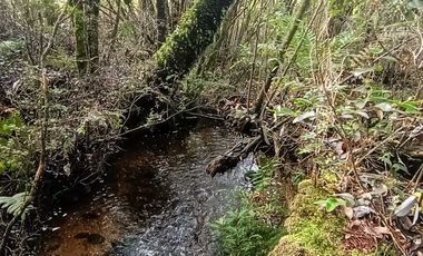 Parcela en venta en PUERTO MONTT