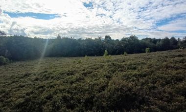 Parcela en venta en PUERTO MONTT