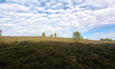 Parcela en venta en PUERTO MONTT