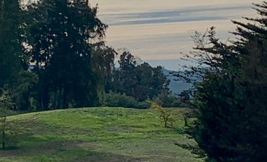 Parcela en venta en LAS CABRAS