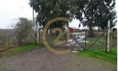 PROPIEDAD AGRICOLA COMUNA DE RETIRO, MAULE