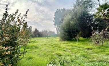 Parcela en Venta en Venta Parcela de Terreno Plano 6.235 m2, Lomas del Aguila, Champa, Paine