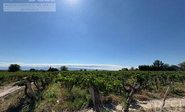 Finca en  El Mogote