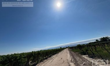 Finca en  El Mogote