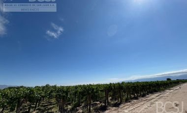 Finca en  El Mogote