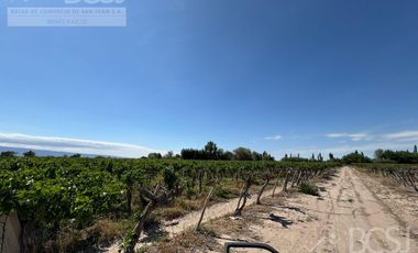 Finca en  El Mogote