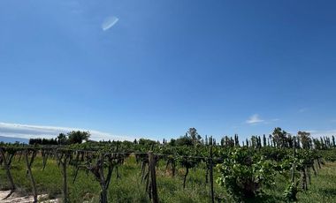 Finca en  El Mogote