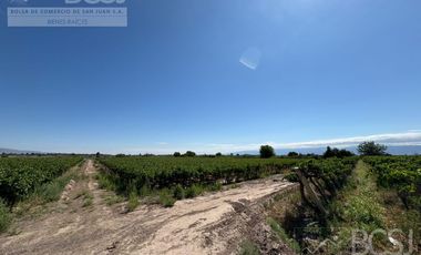 Finca en  El Mogote