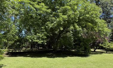 Casa en  venta en el Delta de Tigre sobre arroyo Caraguata