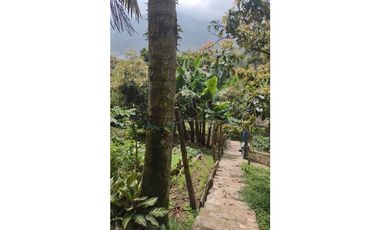 Vendo casa/finca Caldas Antioquia