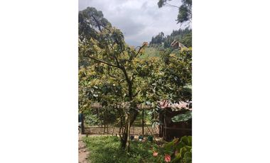 Vendo casa/finca Caldas Antioquia