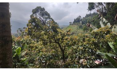 Vendo casa/finca Caldas Antioquia
