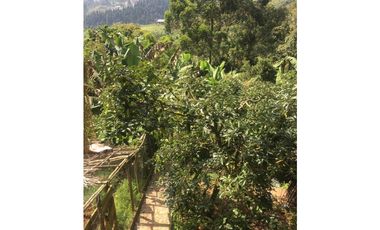 Vendo casa/finca Caldas Antioquia