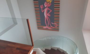SE RENTA DEPARTAMENTO AMUEBLADO  EN CAMPOS ELISEOS
