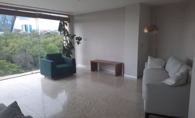 SE RENTA DEPARTAMENTO AMUEBLADO  EN CAMPOS ELISEOS