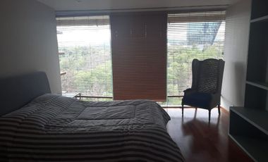 SE RENTA DEPARTAMENTO AMUEBLADO  EN CAMPOS ELISEOS