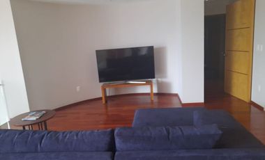 SE RENTA DEPARTAMENTO AMUEBLADO  EN CAMPOS ELISEOS
