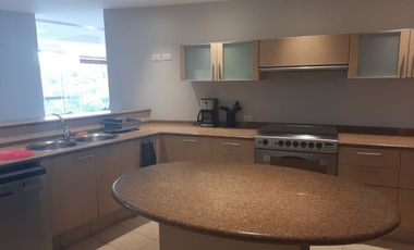 SE RENTA DEPARTAMENTO AMUEBLADO  EN CAMPOS ELISEOS