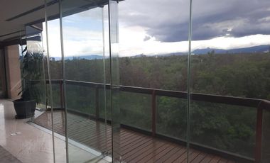 SE RENTA DEPARTAMENTO AMUEBLADO  EN CAMPOS ELISEOS
