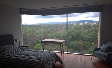 SE RENTA DEPARTAMENTO AMUEBLADO  EN CAMPOS ELISEOS