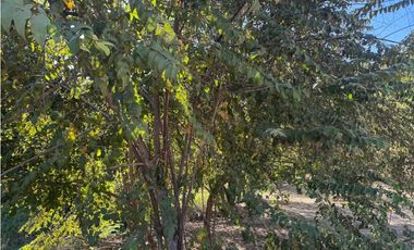 EN VENTA LOTE EN SAN JERÓNIMO ANTIOQUIA