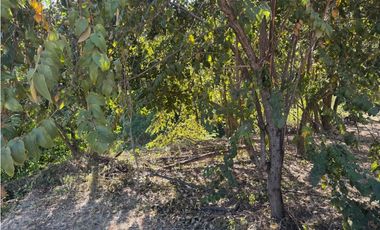EN VENTA LOTE EN SAN JERÓNIMO ANTIOQUIA