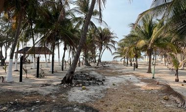 SE RENTA TERRENO EN CARRETERA CARMEN PUERTO REAL
