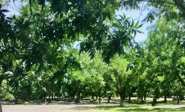 Terreno en Residencial Campestre Hacienda del Marqués - Parras Coahuila