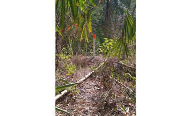 SE VENDE TERRENO EN LAS CUMBRES