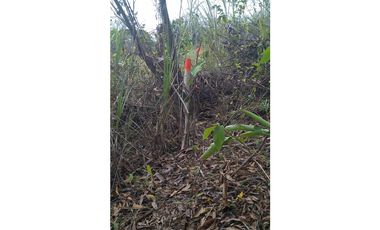 SE VENDE TERRENO EN LAS CUMBRES
