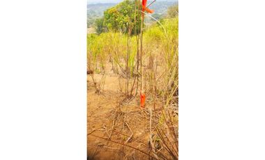 SE VENDE TERRENO EN LAS CUMBRES