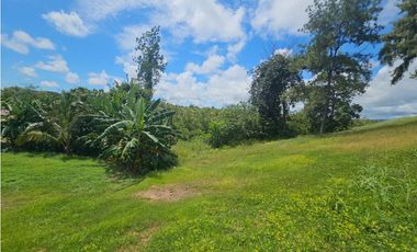 Se Vende Lote Comercial de 104m2 en Interamericana, Chame (DR)