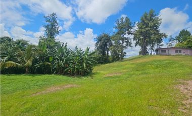 Se Vende Lote Comercial de 104m2 en Interamericana, Chame (DR)