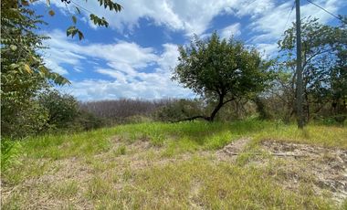 TERRENO / SAN CARLOS / 2200M2 / PLAYA LA ERMITA / CERCA AL MAR / PLANO