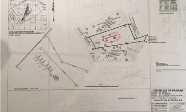 TERRENO / SAN CARLOS / 2200M2 / PLAYA LA ERMITA / CERCA AL MAR / PLANO