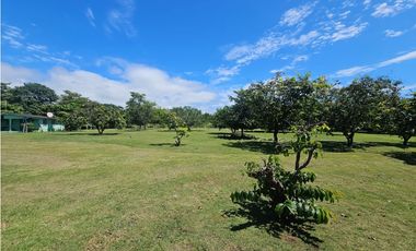 Se Vende Finca de 6.4 has vivienda o uso comercial en Coronado(DR)